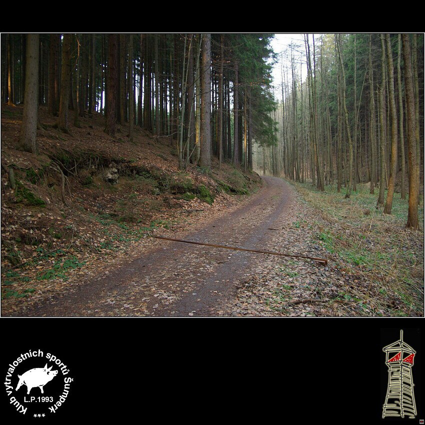 img00020.jpg
