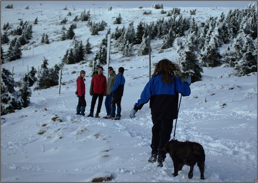 img00030.jpg
