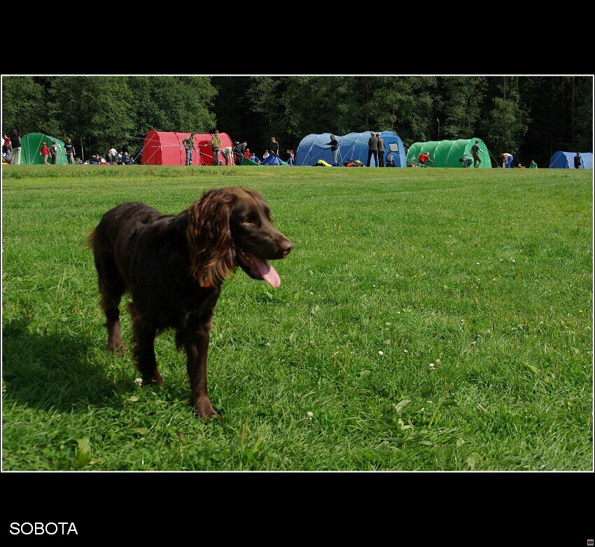 img00001.jpg