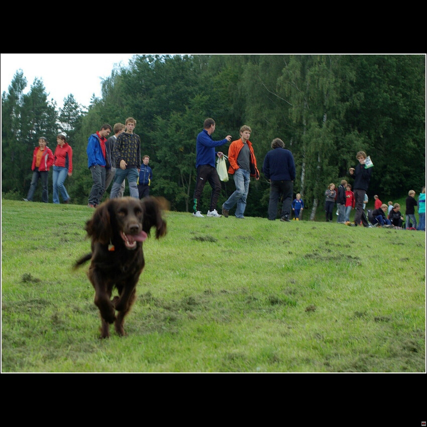 img00007.jpg