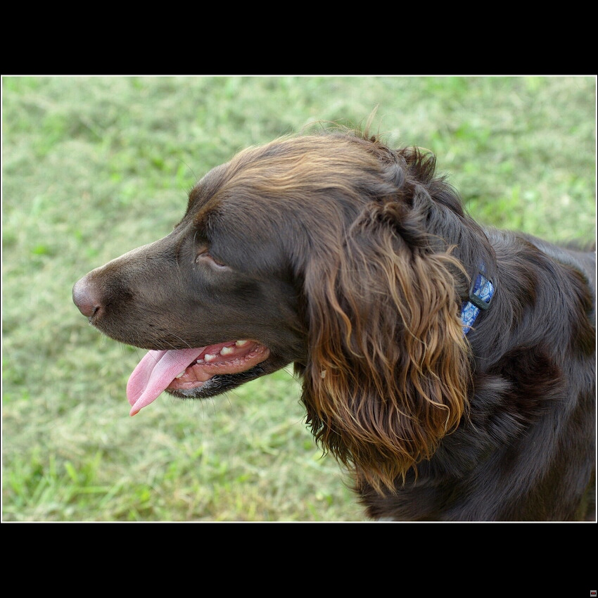 img00008.jpg
