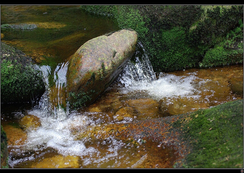 img00081.jpg