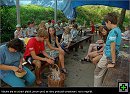thn_17++.jpg